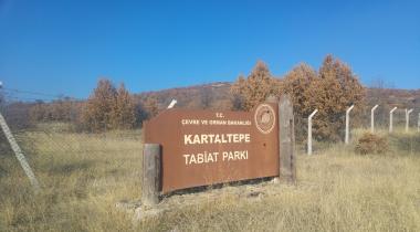 Kızılcahamam Kartaltepe Tabiat Parkı