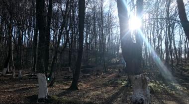 Kuzuluk Tabiat Parkı