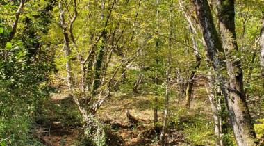 Yalova Harmankaya Tabiat Parkı