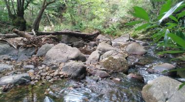 Yalova Harmankaya Tabiat Parkı