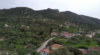 Muğla Söğüt Köyü Çınarı Tabiat Anıtı