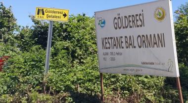 Bartın Gölderesi Şelalesi