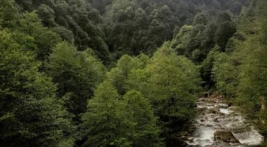 Arhavi Mençuna Şelalesi