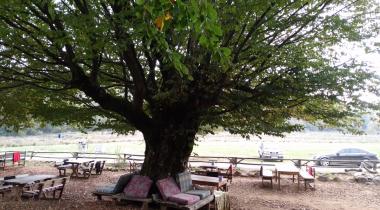 Delmece Yaylası Tabiat Parkı
