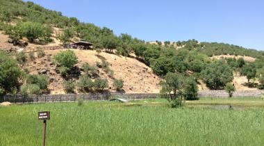 Bingöl Yüzen Adalar Tabiat Anıtı