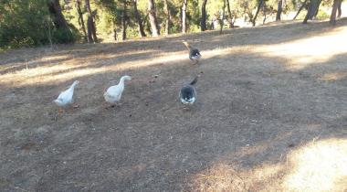 Hacet Deresi Tabiat Parkı