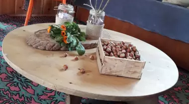 Dağevim Sakarya