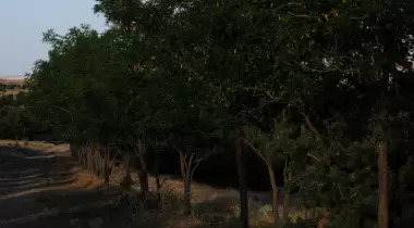Üçtepeler Tabiat Parkı