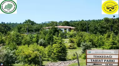 Tekkedağı Tabiat Parkı
