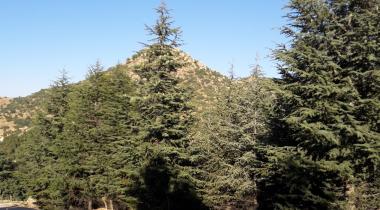 Erkmen Tabiat Parkı