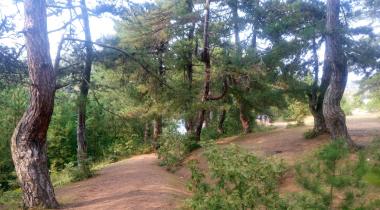Küçükelmalı Tabiat Parkı