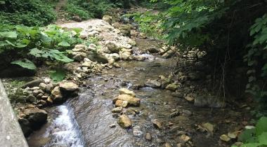 Akçakoca Aktaş Şelalesi