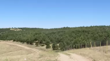 Üçtepeler Tabiat Parkı