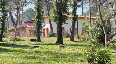 Sarıgazel Tabiat Parkı