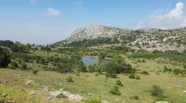Süreyya Tabiat Parkı