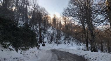 Kuzuyayla Tabiat Parkı