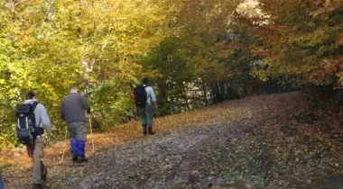 Yılançatı (Geyikbeli) Kanyonu Tabiat Parkı