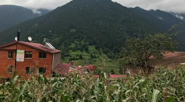 Uzungöl Tabiat Parkı