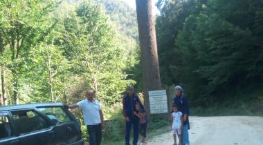 Düzce Paşabükü Dişbudak Ağacı Tabiat Anıtı