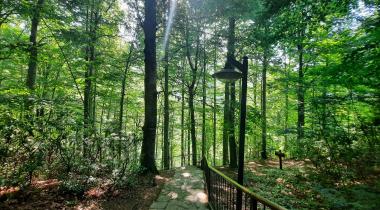 Güzeldere Şelalesi Tabiat Parkı
