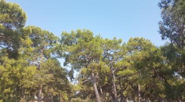 İncekum Tabiat Parkı