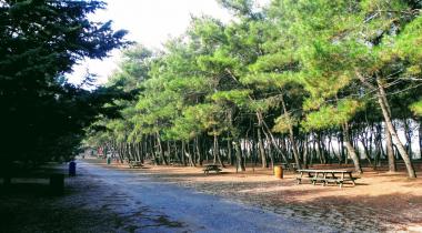Efeoğlu Tabiat Parkı