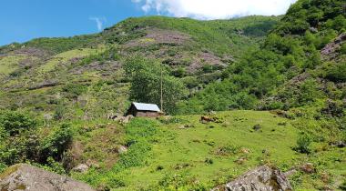 Giresun Paşaca Şelalesi