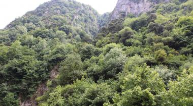 Kocaeli Serindere Kanyonu
