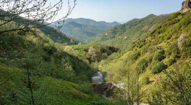 Giresun Paşaca Şelalesi