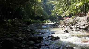 Kocaeli Karakaya Şelalesi