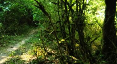 Kastamonu Evken şelalesi