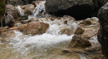 Süreyya Tabiat Parkı