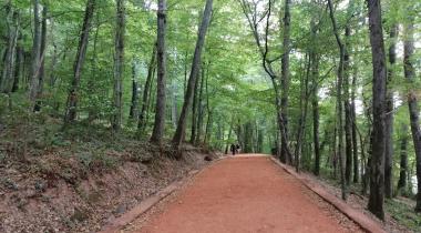 Neşetsuyu Tabiat Parkı