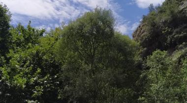 Bursa Narlıdere Şelalesi