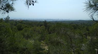 Kuyuluk Tabiat Parkı