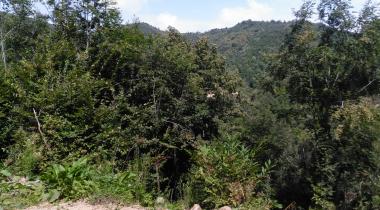 Yalova Harmankaya Tabiat Parkı