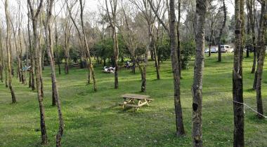 Sarıgazel Tabiat Parkı