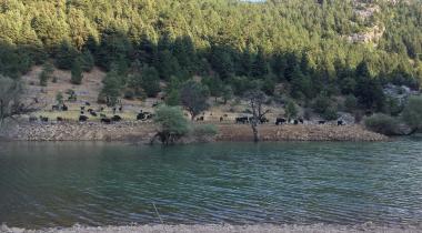 Derebucak Balatini Mağarası (Çamlık Mağaraları)