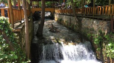 Kocaeli Maşukiye Şelalesi