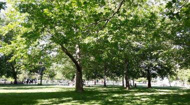 Kuğulu Tabiat Parkı