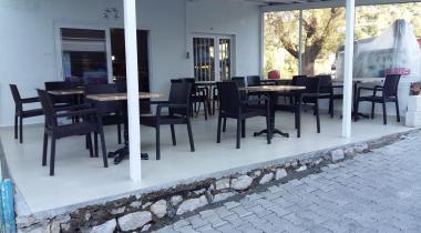 Muğla Söğüt Köyü Çınarı Tabiat Anıtı
