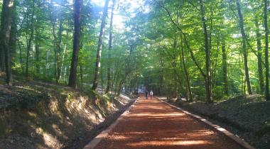 Irmak Tabiat Parkı