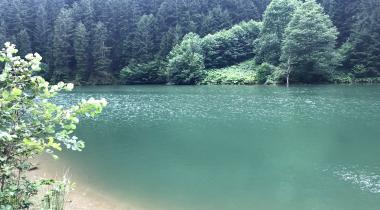 Uzungöl Tabiat Parkı
