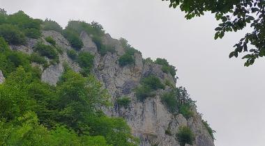 Ayancık İnaltı Mağarası Tabiat Parkı