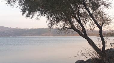 Sakarya İl Ormanı Tabiat Parkı