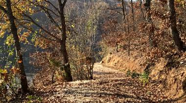 Küçükelmalı Tabiat Parkı