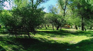 Örenönü Tabiat Parkı
