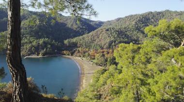 Küçük Kargı Tabiat Parkı