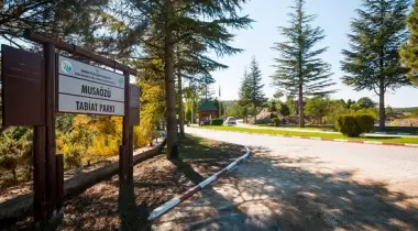 Musaözü Tabiat Parkı