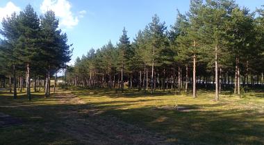 Şehit Şerifebacı Tabiat Parkı